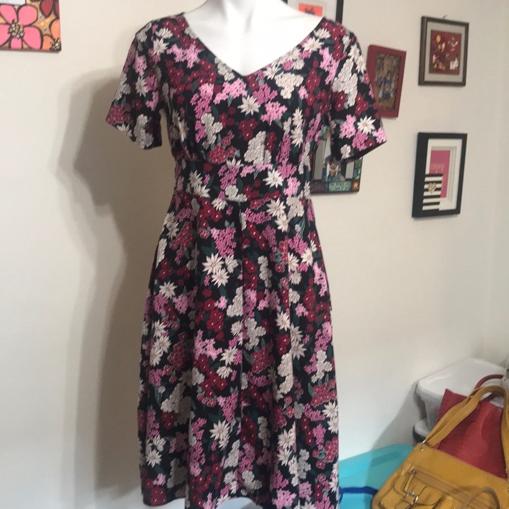 Ann Taylor Factory short sleeved dress (2)